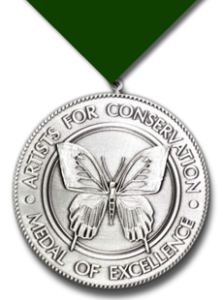 medal-of-excellence-ribbon-shadow