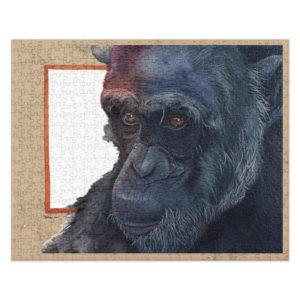 Jigsaw puzzle "Roy", the Ol Pejeta Chimpanzee (pale concrete background)