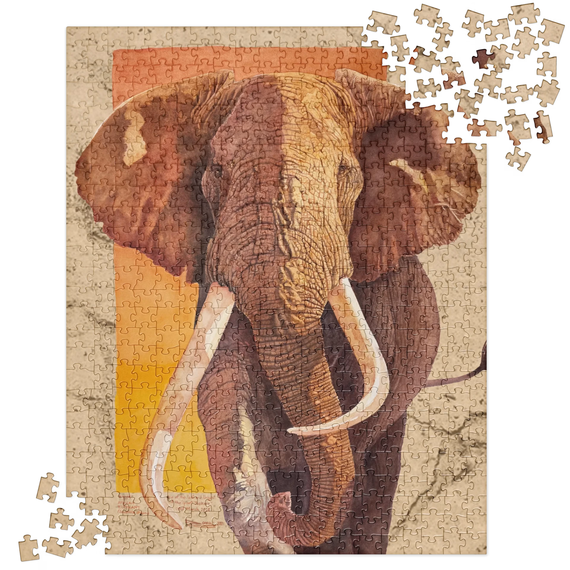 jigsaw puzzle "tim", one of the last and largest of the giant tuskers