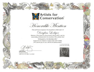 Awards-hon-mention (1)