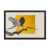 Framed poster, Saxx, the little sparrowhawk rescued by KBOPT - Image 4