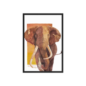 Framed poster, "Tim", one of the last and largest of the giant tuskers