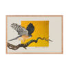 Framed poster, Saxx, the little sparrowhawk rescued by KBOPT - Image 14