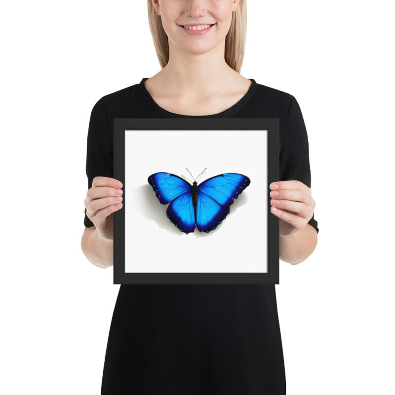 Framed poster, morpho butterfly, (Morpho peleides) - Image 3