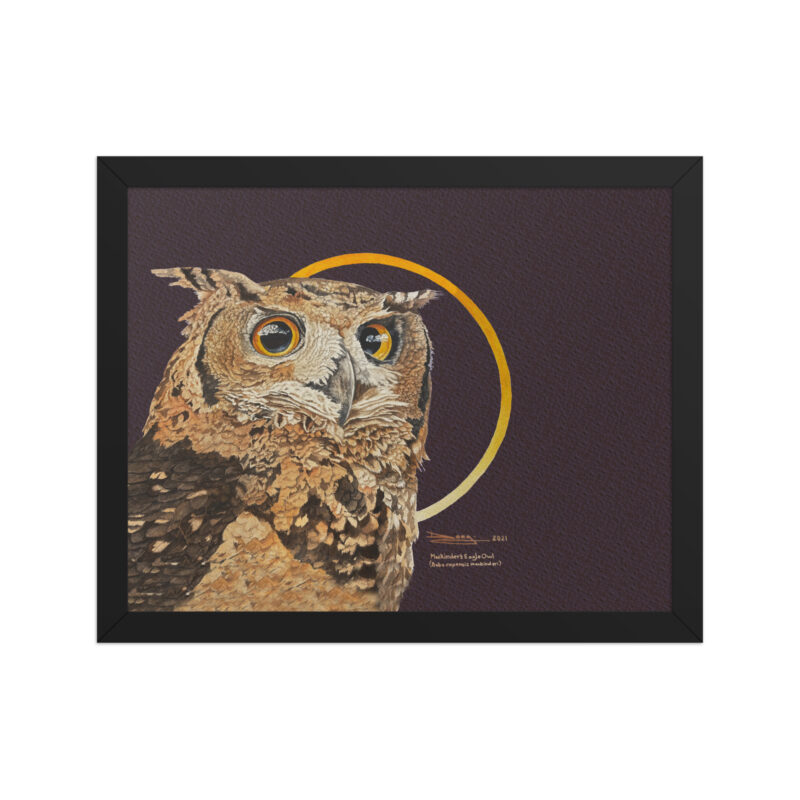 Framed poster, Mackinder's eagle owl - Image 2