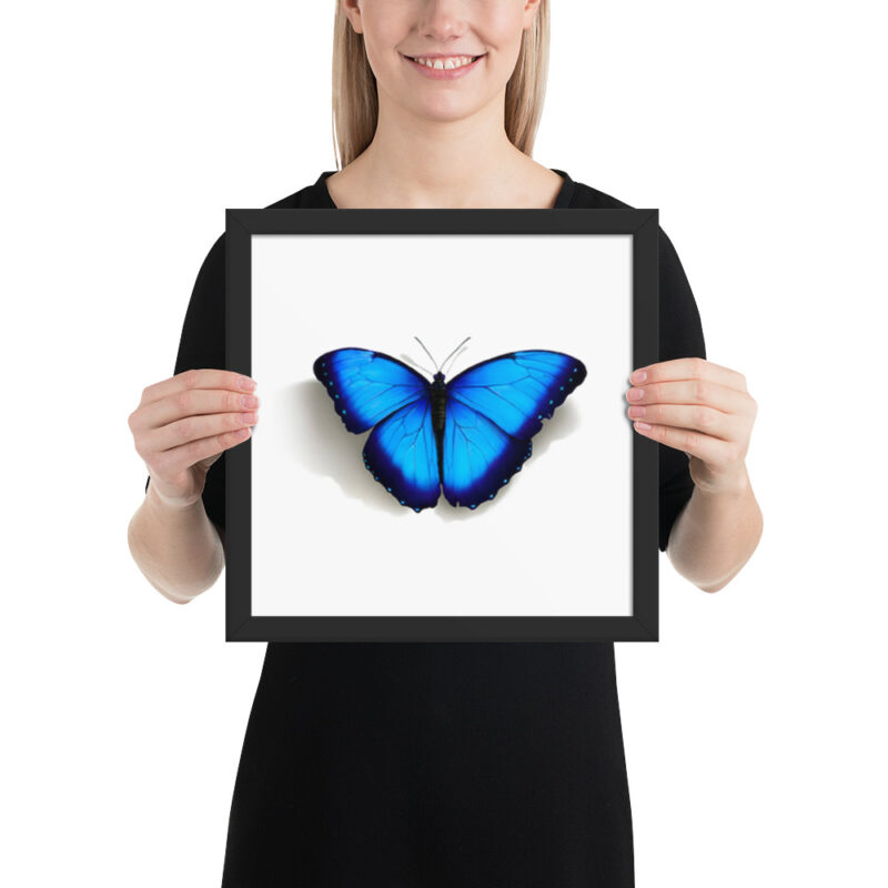 Framed poster, morpho butterfly, (Morpho peleides) - Image 4