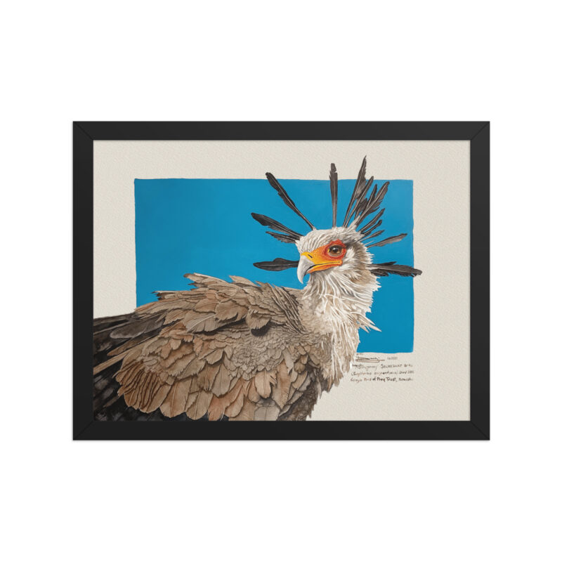 Framed poster, Moneypenny, the secretary bird - Image 2