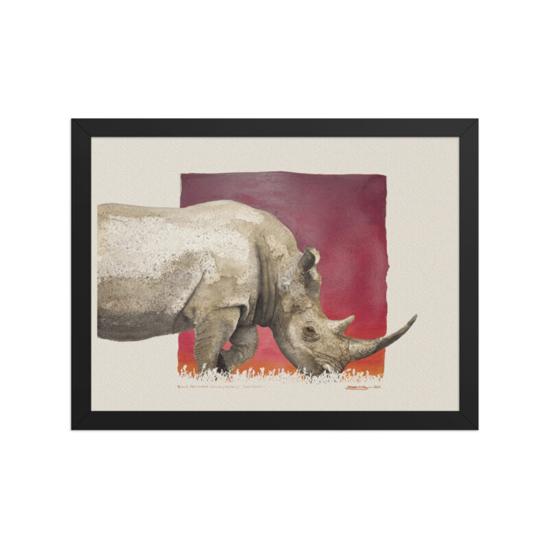 Framed poster, black rhino - Image 2