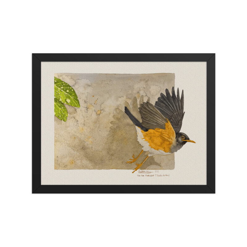 Framed poster - Image 2