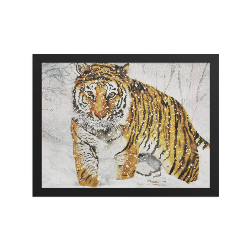 Framed poster, bengal tiger - Image 2