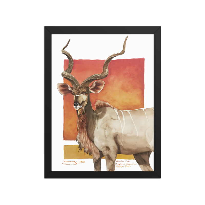 Framed poster, save th eKudu - Image 2
