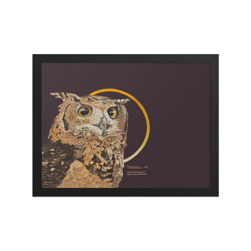 Framed poster, Mackinder's eagle owl - Image 4