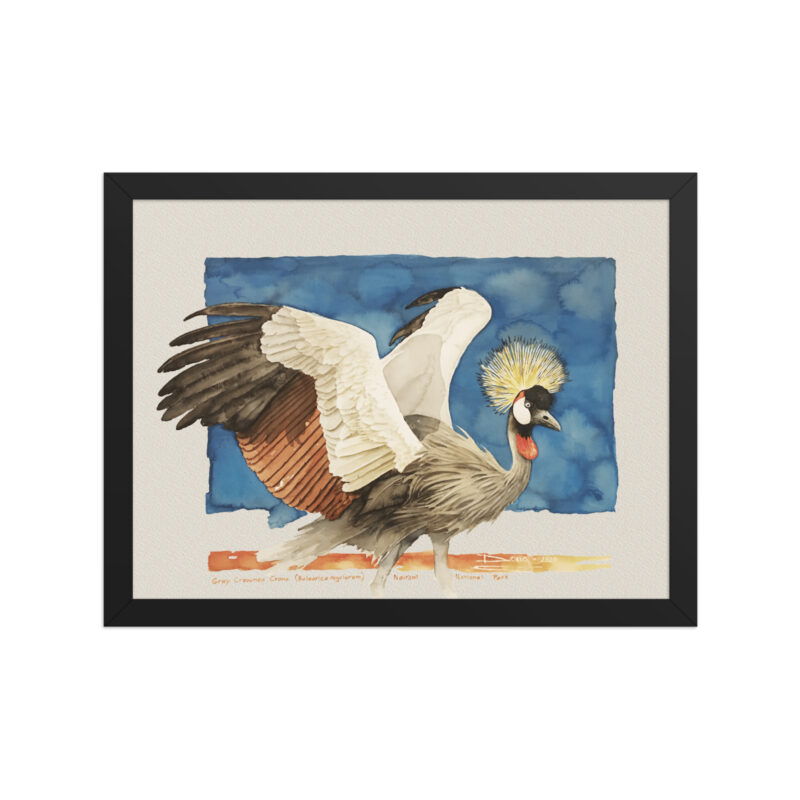 Framed poster Grey-crowned crane - Image 2