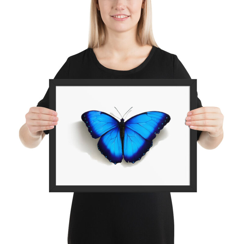 Framed poster, morpho butterfly, (Morpho peleides) - Image 5