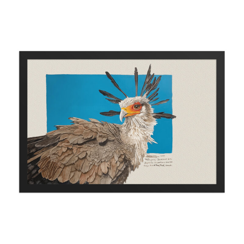 Framed poster, Moneypenny, the secretary bird - Image 3