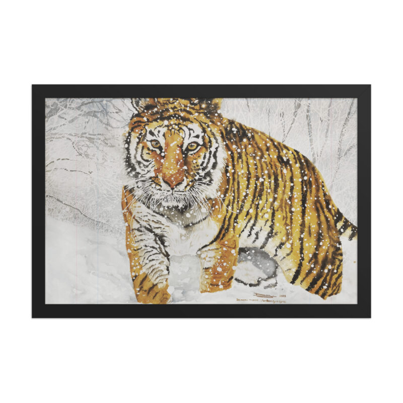 Framed poster, bengal tiger - Image 3