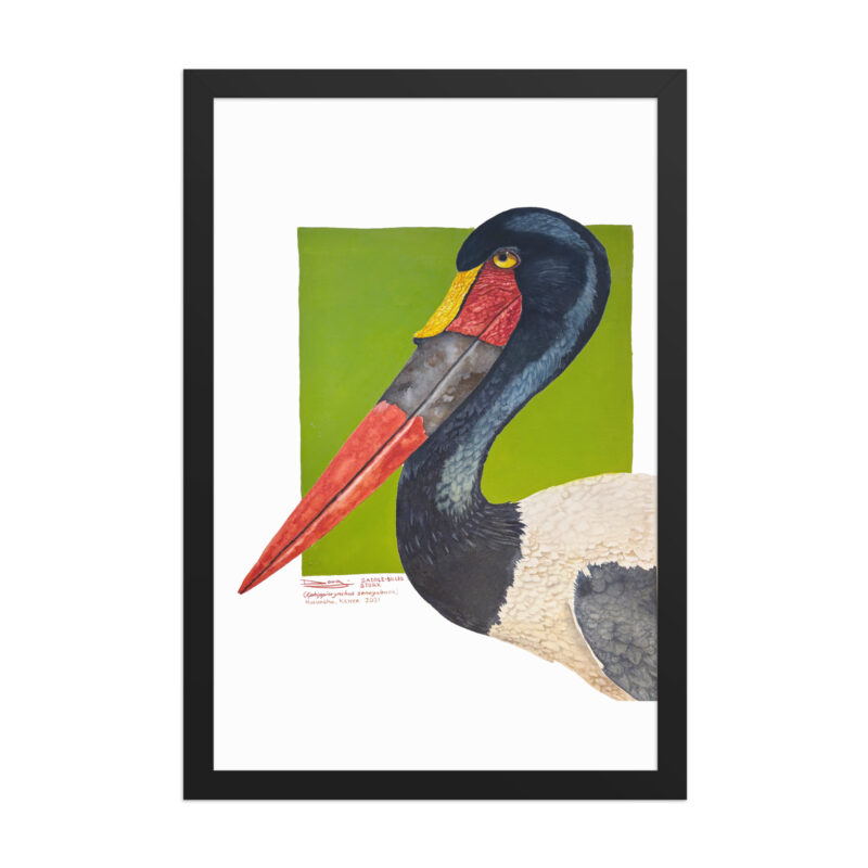 Framed poster, save Lake Naivasha (saddle-billed stork) - Image 3