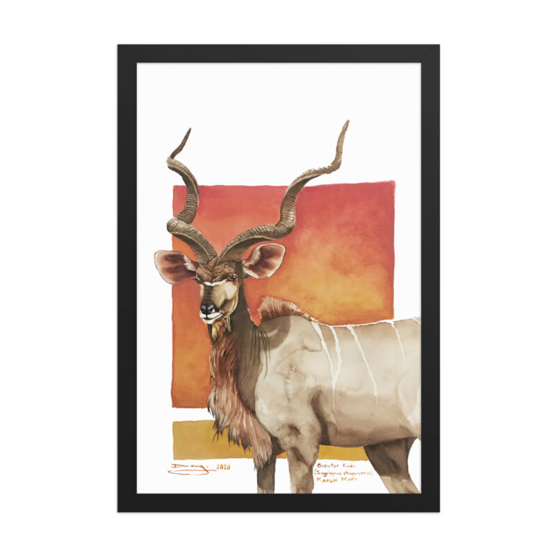 Framed poster, save th eKudu - Image 3