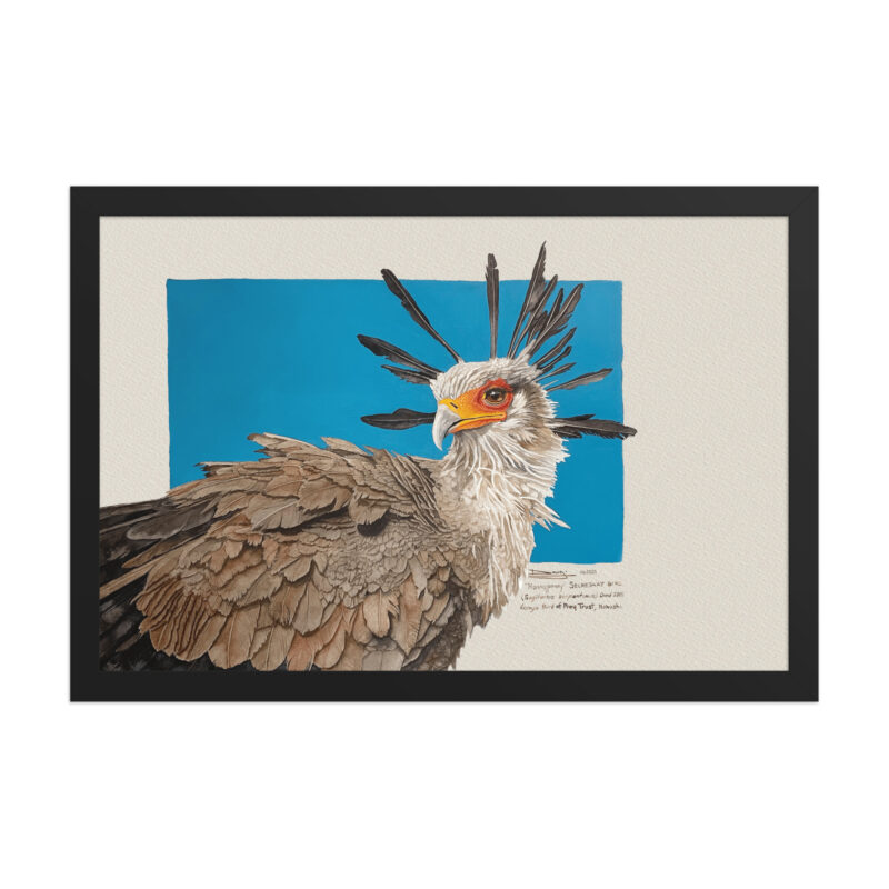 Framed poster, "Moneypenny" the secretary bird - Image 3