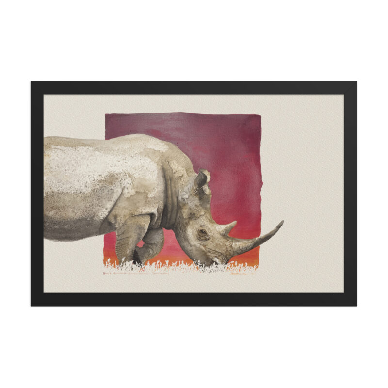 Framed poster, black rhino,Ol Pejeta - Image 3
