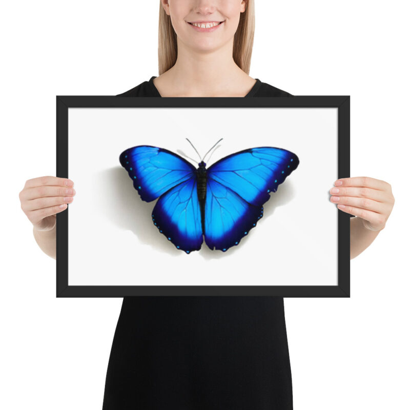 Framed poster, morpho butterfly, (Morpho peleides) - Image 6
