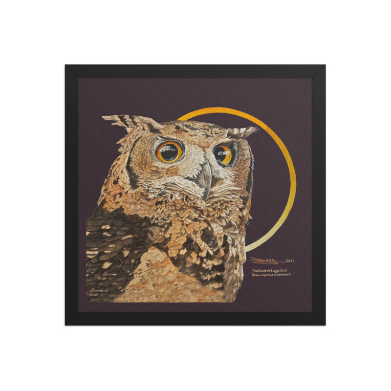Framed poster - Image 6