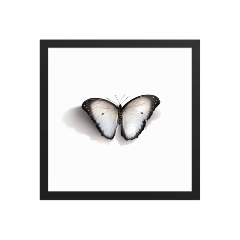 Framed poster - Image 6
