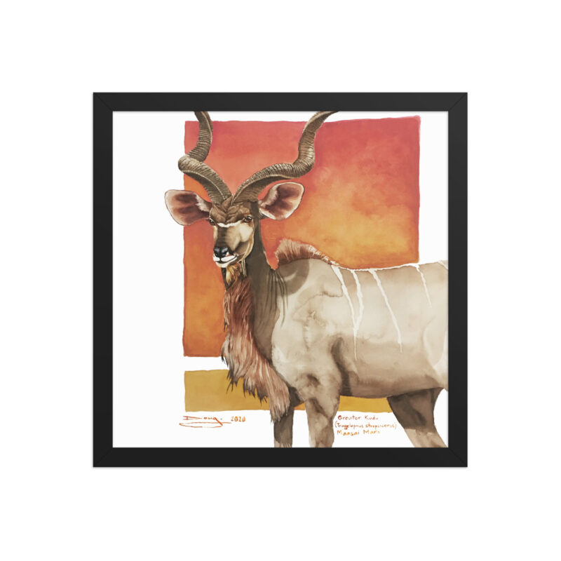 Framed poster, save th eKudu - Image 4
