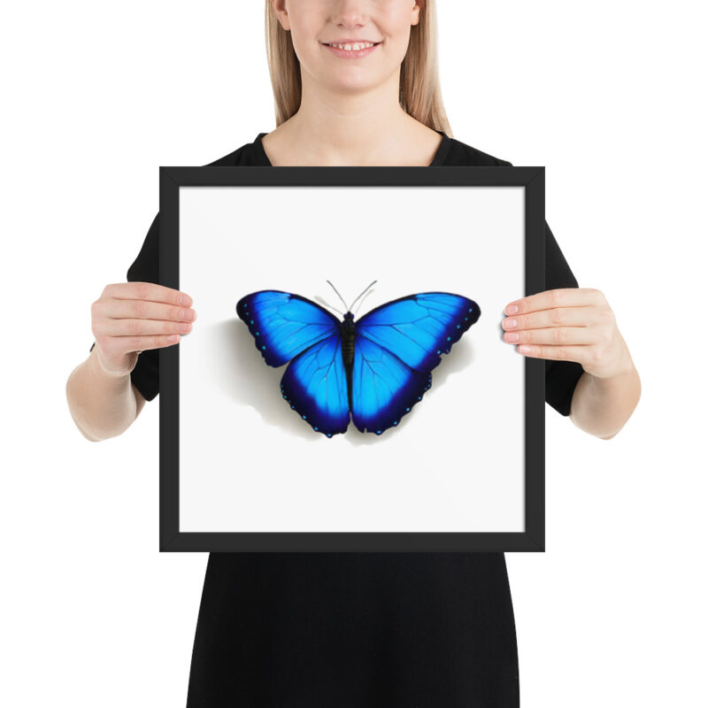 Framed poster, morpho butterfly, (Morpho peleides) - Image 7