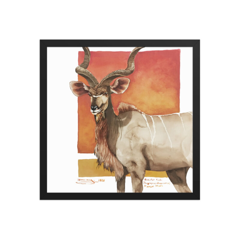 Framed poster, save th eKudu - Image 5