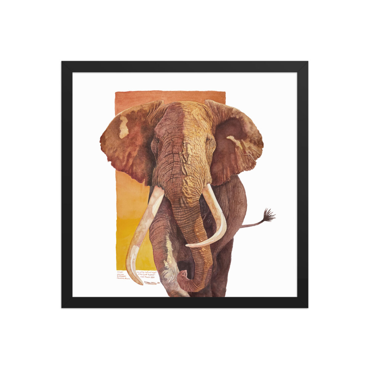 Framed poster, "Tim", one of the last of the giant tuskers - Image 7