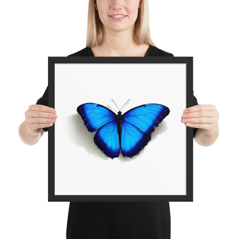 Framed poster, morpho butterfly, (Morpho peleides) - Image 8