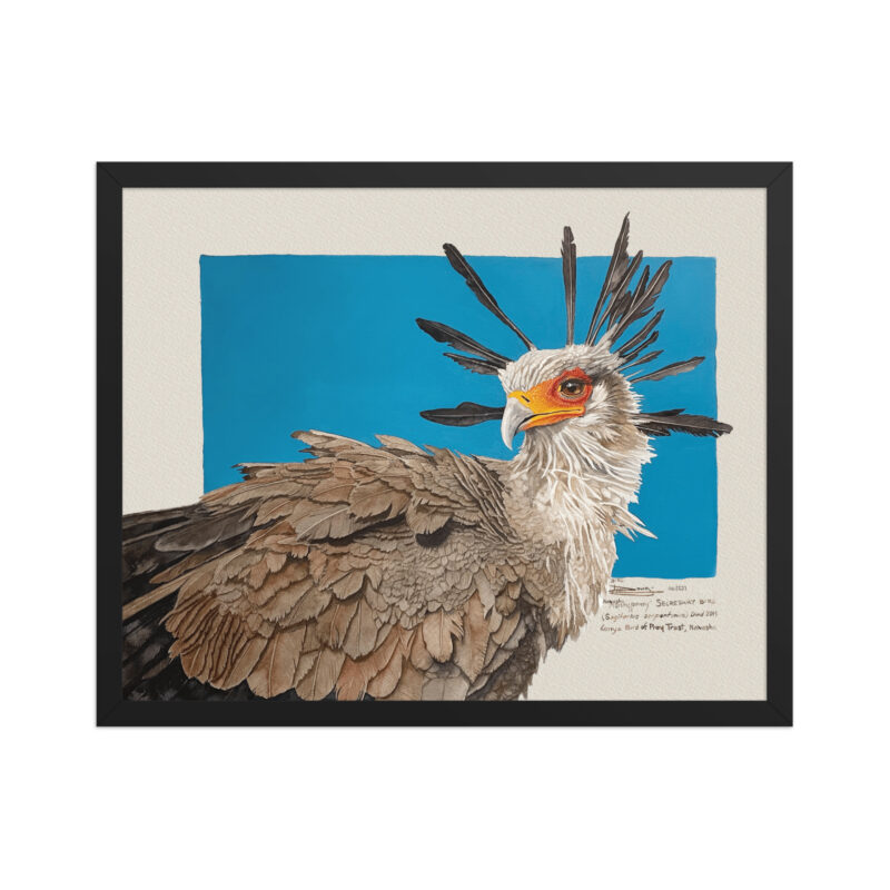 Framed poster, Moneypenny, the secretary bird - Image 4