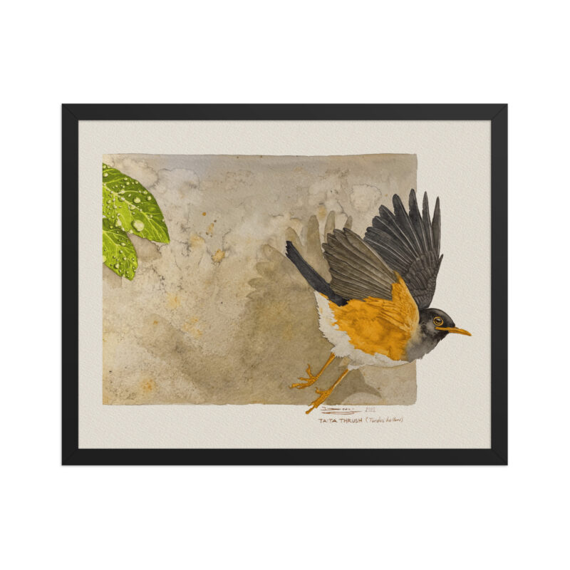 Framed poster - Image 4