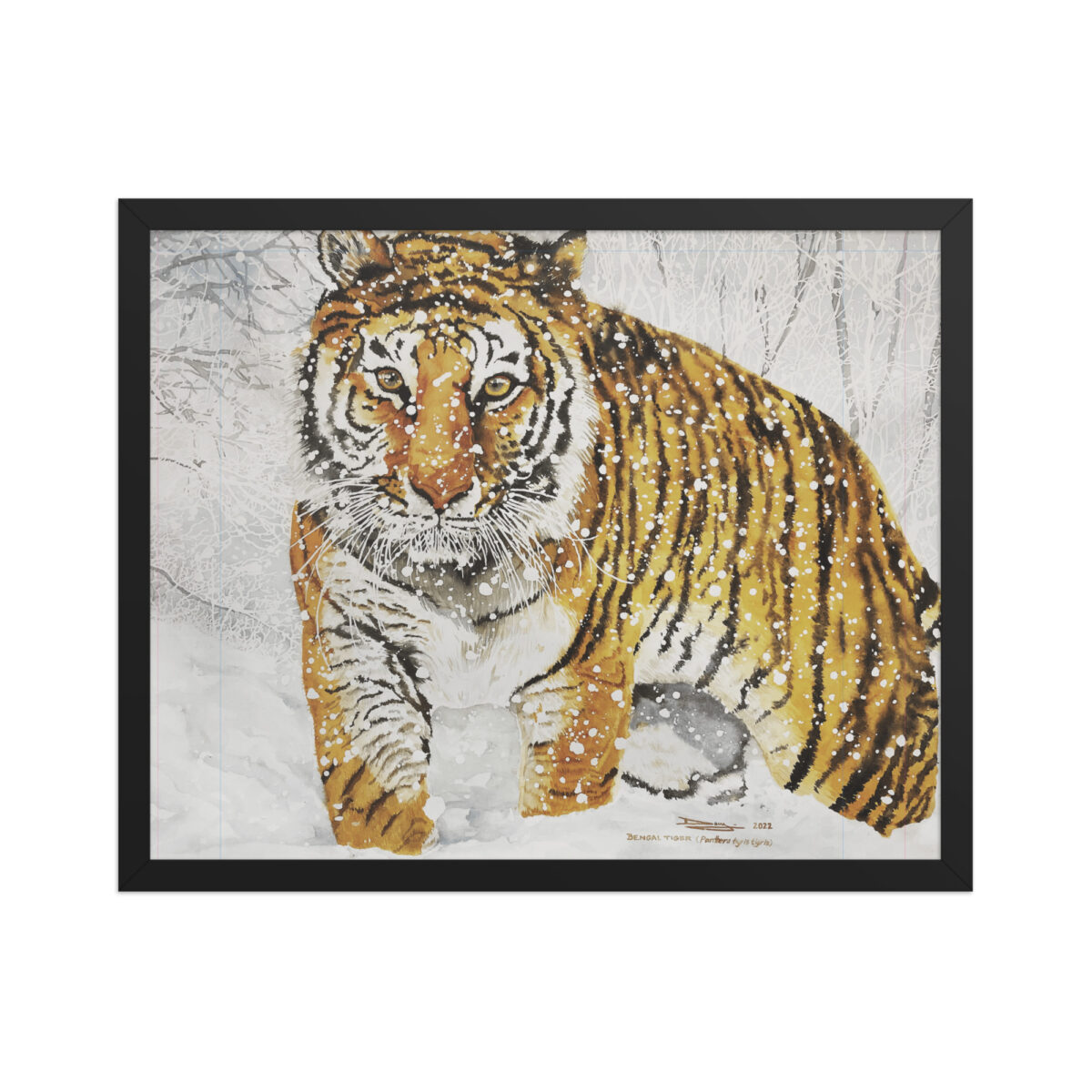 Framed poster, bengal tiger - Image 4