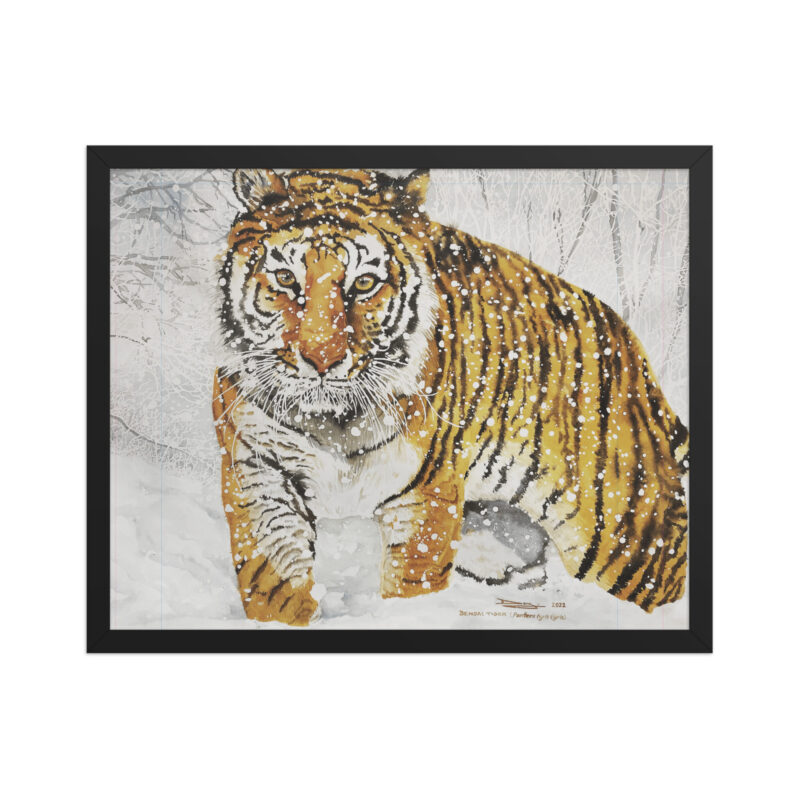 Framed poster, bengal tiger - Image 4