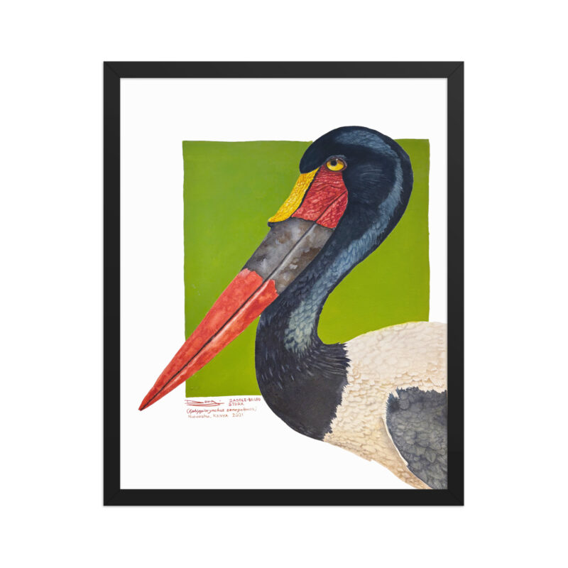Framed poster, save Lake Naivasha (saddle-billed stork) - Image 6