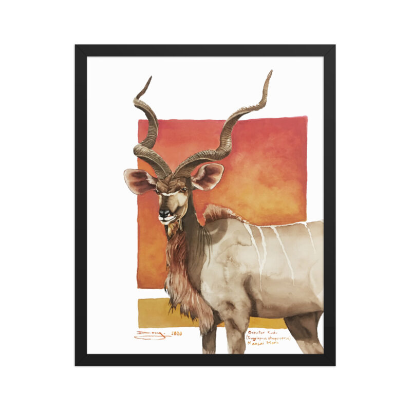 Framed poster, save th eKudu - Image 6