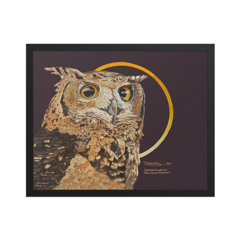 Framed poster, Mackinder's eagle owl - Image 8