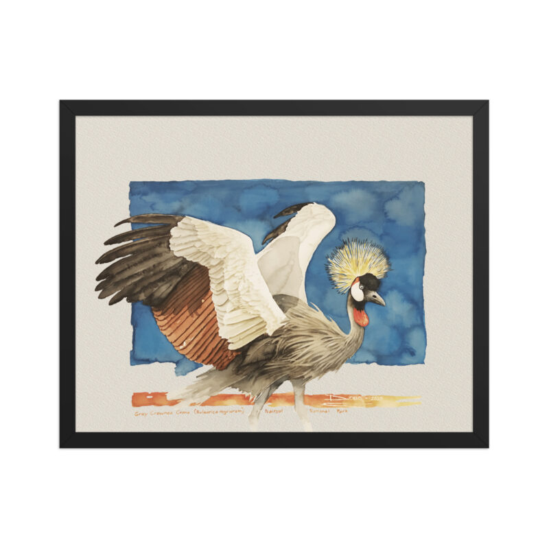 Framed poster Grey-crowned crane - Image 4
