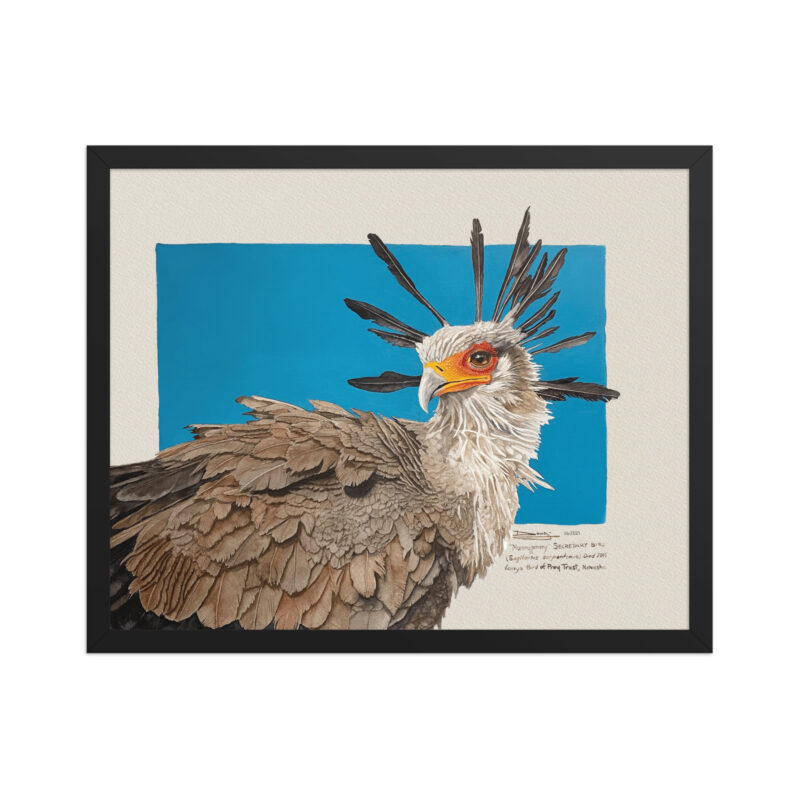 Framed poster, "Moneypenny" the secretary bird - Image 4
