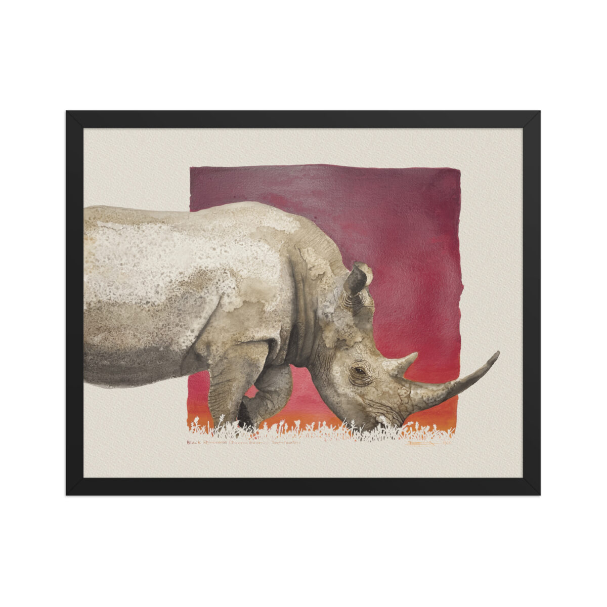 Framed poster, black rhino,Ol Pejeta - Image 4