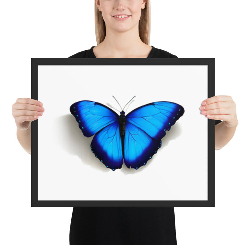Framed poster, morpho butterfly, (Morpho peleides) - Image 9