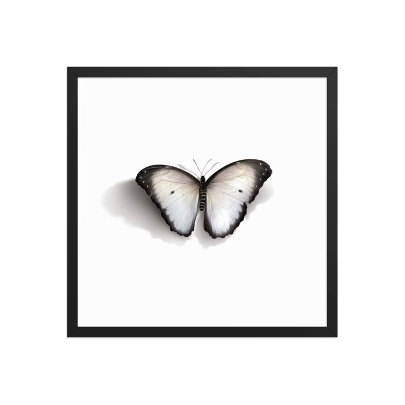 Framed poster - Image 9