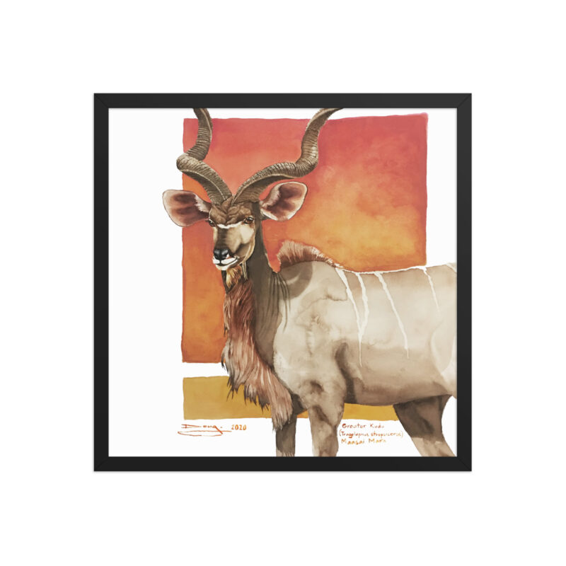 Framed poster, save th eKudu - Image 7