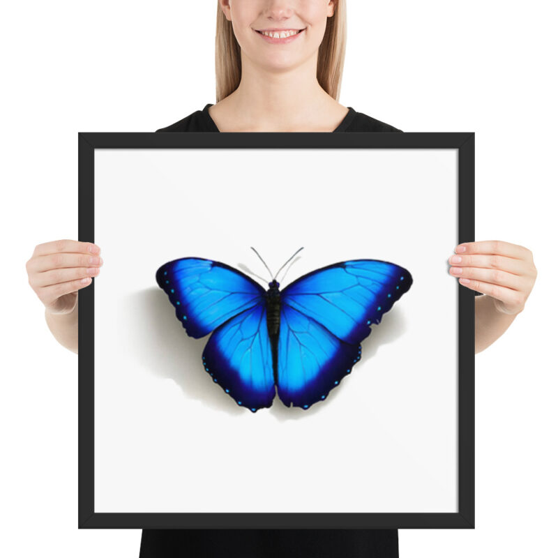 Framed poster, morpho butterfly, (Morpho peleides) - Image 10