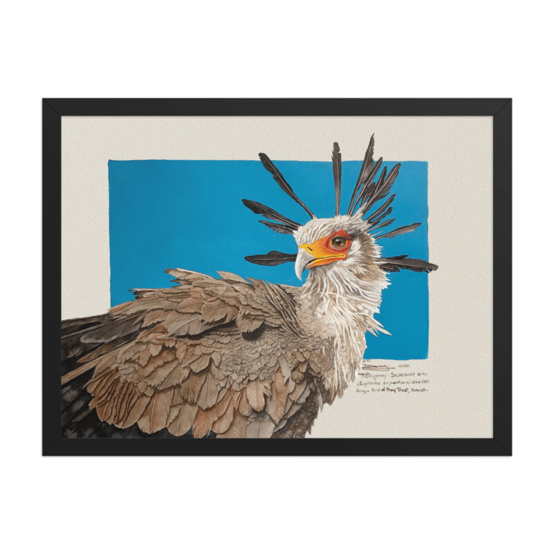 Framed poster, Moneypenny, the secretary bird - Image 5