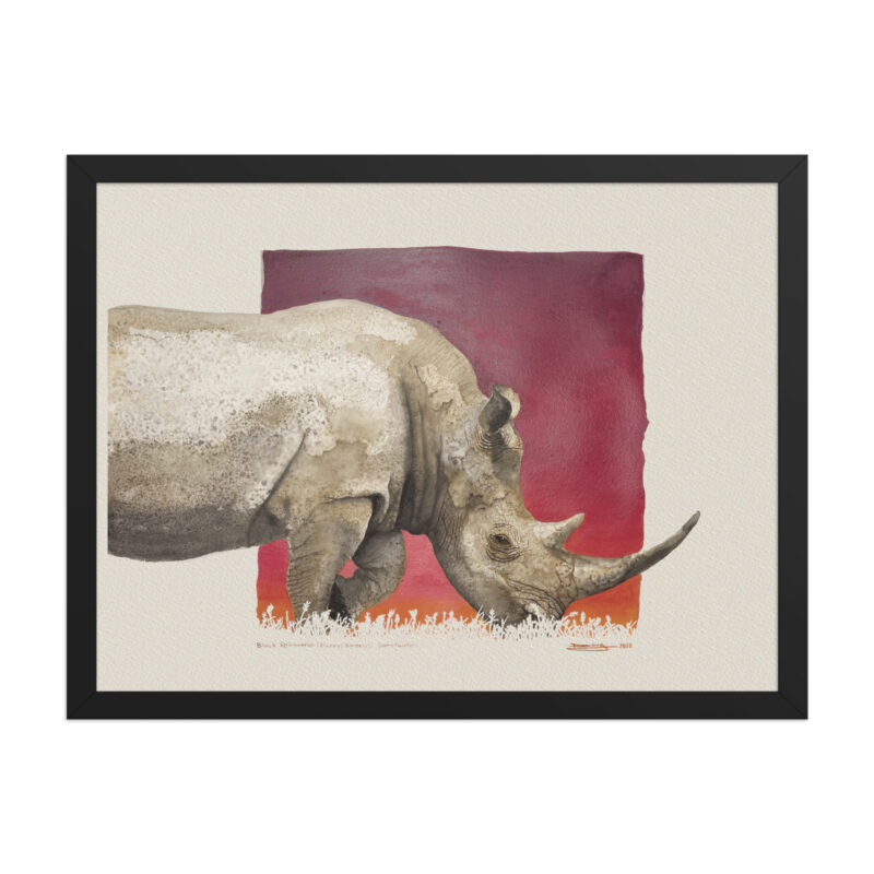 Framed poster, black rhino - Image 5