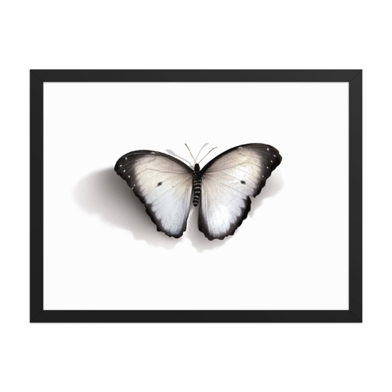 Framed poster - Image 10
