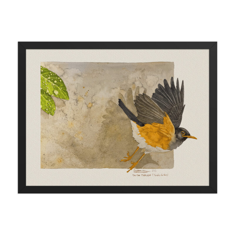 Framed poster - Image 5